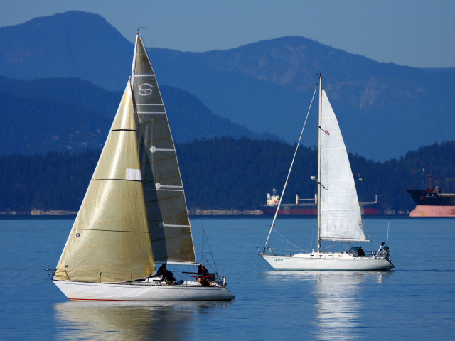 Kitsilano Beach Park photo 4